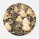 Zoek naar paddestoel magneten Fungus