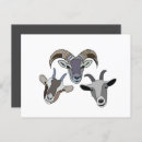 Zoek naar grappige geit briefkaarten Voor haar