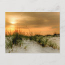 Zoek naar zonsopgang briefkaarten Fotografie