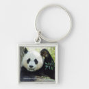 Zoek naar giant sleutelhangers Panda