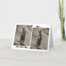 Zoek naar meerkats kaarten Groet