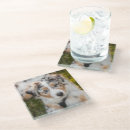 Zoek naar australische onderzetters Puppy