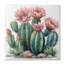 Zoek naar cactussen tegels Succulent