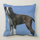 Zoek naar bob kussens Bob en pam langrish