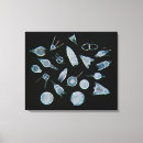 Zoek naar skeleton kunst Biologie