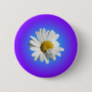 Zoek naar witte veren buttons Bloem
