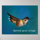 Zoek naar hummingbird posters Vogelobservatie