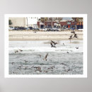 Zoek naar bruine pelikaan posters Strand