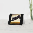 Zoek naar zwarte panters kaarten Kat