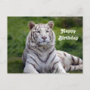 Zoek naar bengaals kaarten Wild