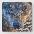 Zoek naar wolf sneeuw posters Wolf in het wild