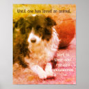 Zoek naar dog posters Citaat
