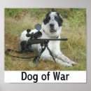 Zoek naar vuurwapen posters Hond