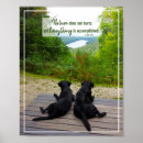 Zoek naar schiet posters Voor iedereen