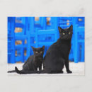Zoek naar katten redding briefkaarten Zwart