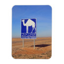 Zoek naar camel magneten Kamelen