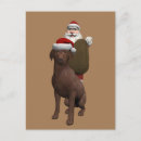 Zoek naar bruin labrador kaarten Kerstmis