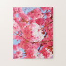Zoek naar cherry blossom puzzels Roze