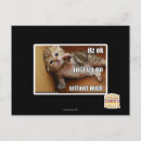 Zoek naar fout briefkaarten Ik kan cheezburger hebben