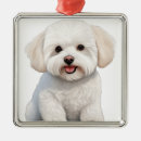 Zoek naar bichon frise ornamenten Schattig