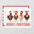 Zoek naar kip briefkaarten Land