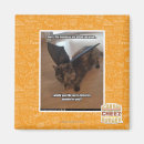 Zoek naar apen magneten Ik kan cheezburger hebben