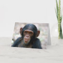 Zoek naar apen briefkaarten Primaten