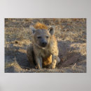 Zoek naar hyena posters Africa