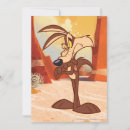 Zoek naar looney tunes uitnodigingen Daffy duck