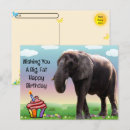 Zoek naar olifant verjaardagskaarten Leuk