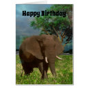 Zoek naar bull elephant posters Wild