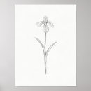 Zoek naar iris tekening posters Voor haar