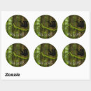 Zoek naar grappig tennis stickers Coach