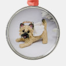 Zoek naar cairn terrier ornamenten Hond