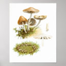 Zoek naar oude sprookjes posters Illustratie