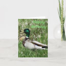 Zoek naar ducks kaarten Elk persoon