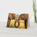Zoek naar afrikaanse olifant kaarten Voor hem/haar