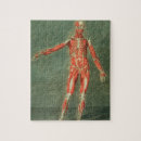 Zoek naar anatomie puzzels Geneeskunde