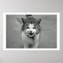 Zoek naar boze kat posters Gruwelijk