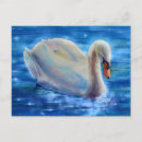 Zoek naar witte zwaan briefkaarten Vogel