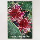 Zoek naar bloesems puzzels Voor hem/haar