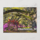 Zoek naar charleston briefkaarten Landschap