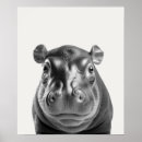 Zoek naar nijlpaard geschenken Safari