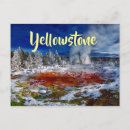 Zoek naar bronnen briefkaarten Bomen