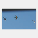 Zoek naar vogels tijdens de vlucht stickers Roofvogels