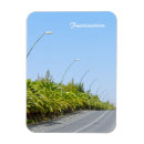 Zoek naar fuerteventura magneten Reis