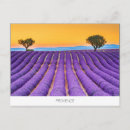 Zoek naar valensole briefkaarten Paars