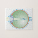 Zoek naar menselijke anatomie puzzels Medisch