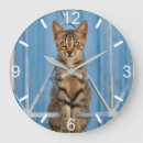 Zoek naar kitten klokken Grappig