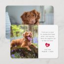 Zoek naar dierenarts kaarten Foto